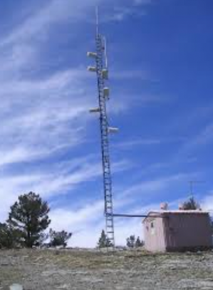 Screen Shot 2022-03-19 at 2.50.06 PM.png