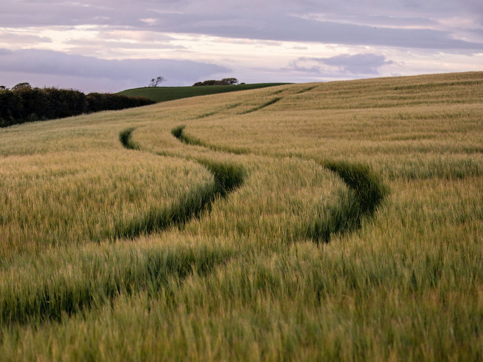 İş fikrini bulabilmek için yönünü aramayı temsil eden bir görsel.