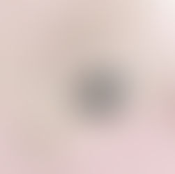 Stunning Adler Planetarium Wedding Photography Guide