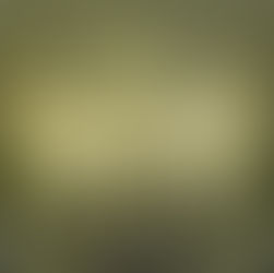 Best Lincoln Park Conservatory Photo Spots-Chicago Wedding Photographers