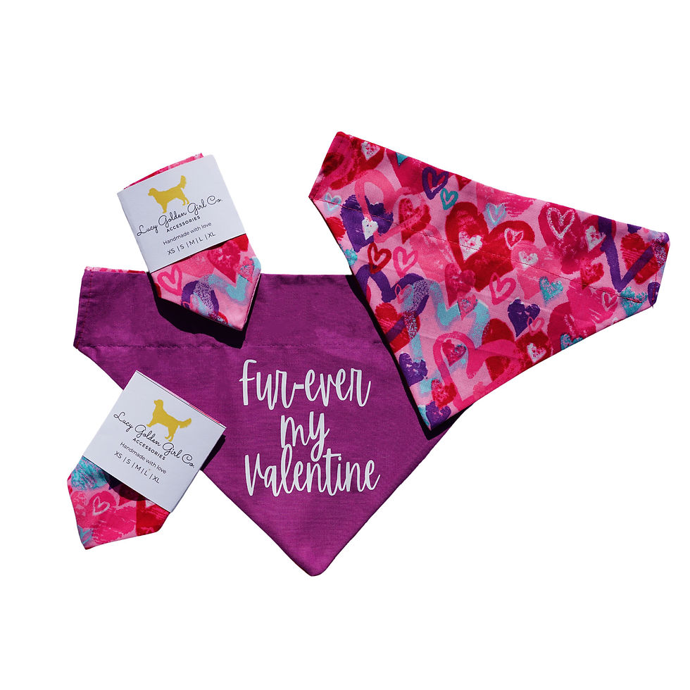 A stunning array of hearts in rich shades of red, pink, purple, and teal spread across a soft pink background. The reverse of the design the bandana is a solid purple color with the phrase, "Fur-ever. my Valentine"
