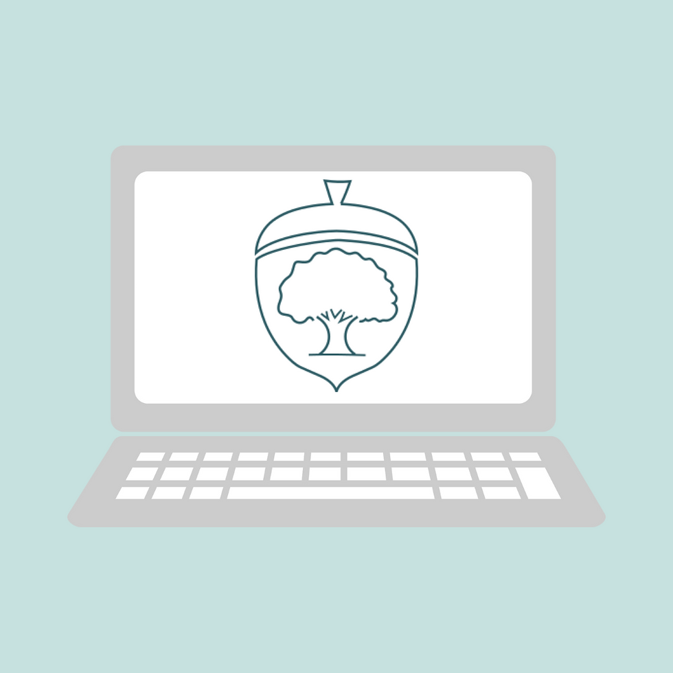 Getting the most from Online Therapy