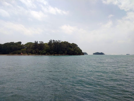 Diving In Singapore: St. John's Island