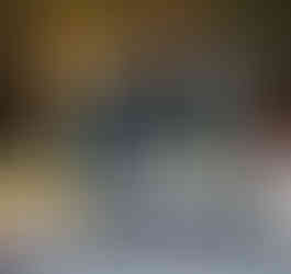 Lana Repina art in Gamla Stan