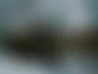 Valentino Haute Couture