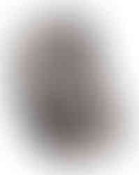 Dariya Repina Made In Italy Collection