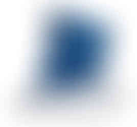 Dariya Repina Made In Italy Collection