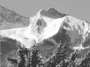 musings with winter