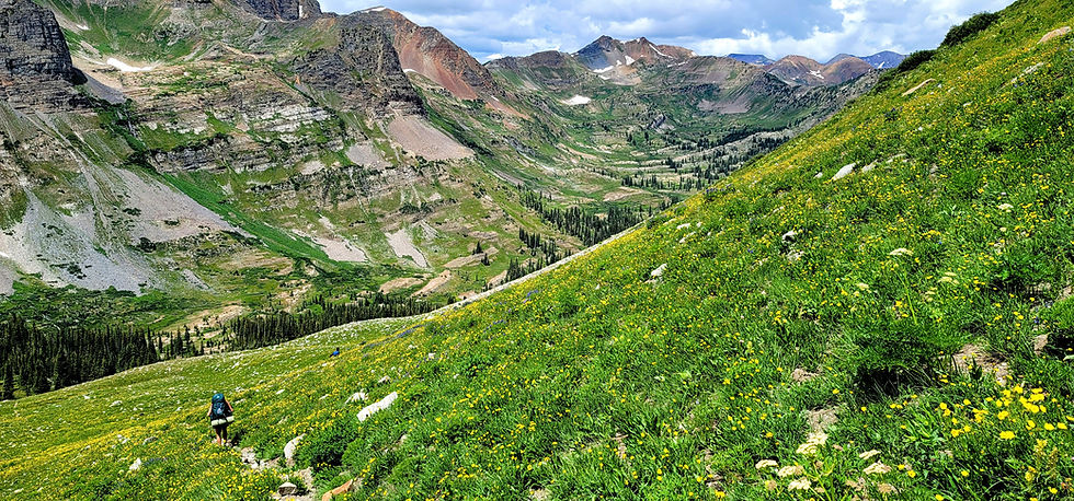 Hiker with a backpack ascends a lush, flower-covered slope in a valley surrounded by rocky, green mountains under a cloudy sky.