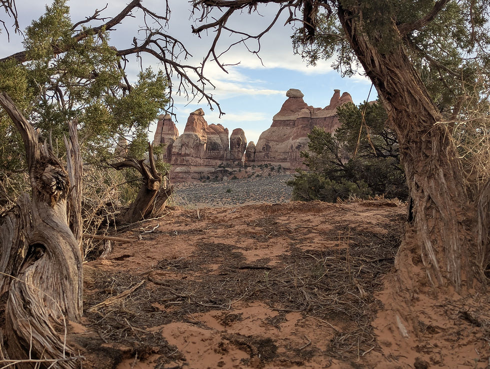 a perceptual vista into spring in Southern Utah with juniper and sage brush
