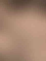 animal tracks in the sand