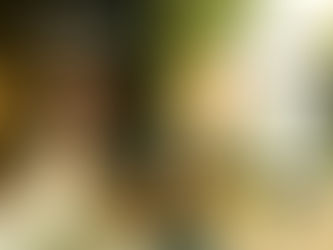 Affordable anxiety therapy in Leeds