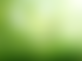 Comment réaliser un diagnostic gazon ?