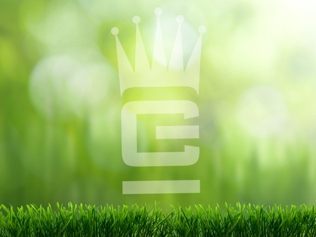 Comment réaliser un diagnostic gazon ?