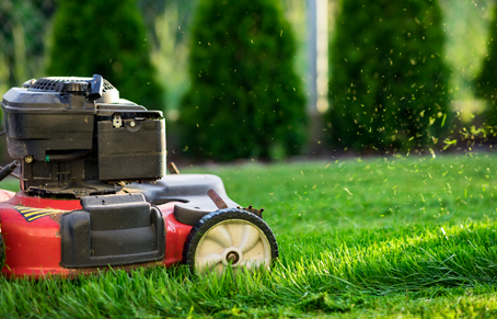 CONSEILS D'ENTRETIEN DU GAZON POUR LE MOIS DE MAI !