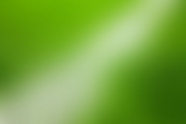 Conseils d'entretien du gazon au mois de juin...