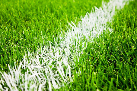 Conseils d'entretien du gazon au mois de juin...