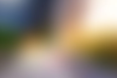 Quand faut-il tondre ?