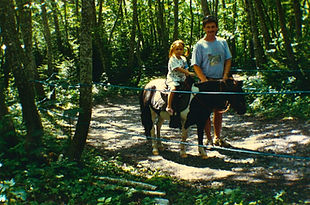 petite fille sur un poney avec son papa