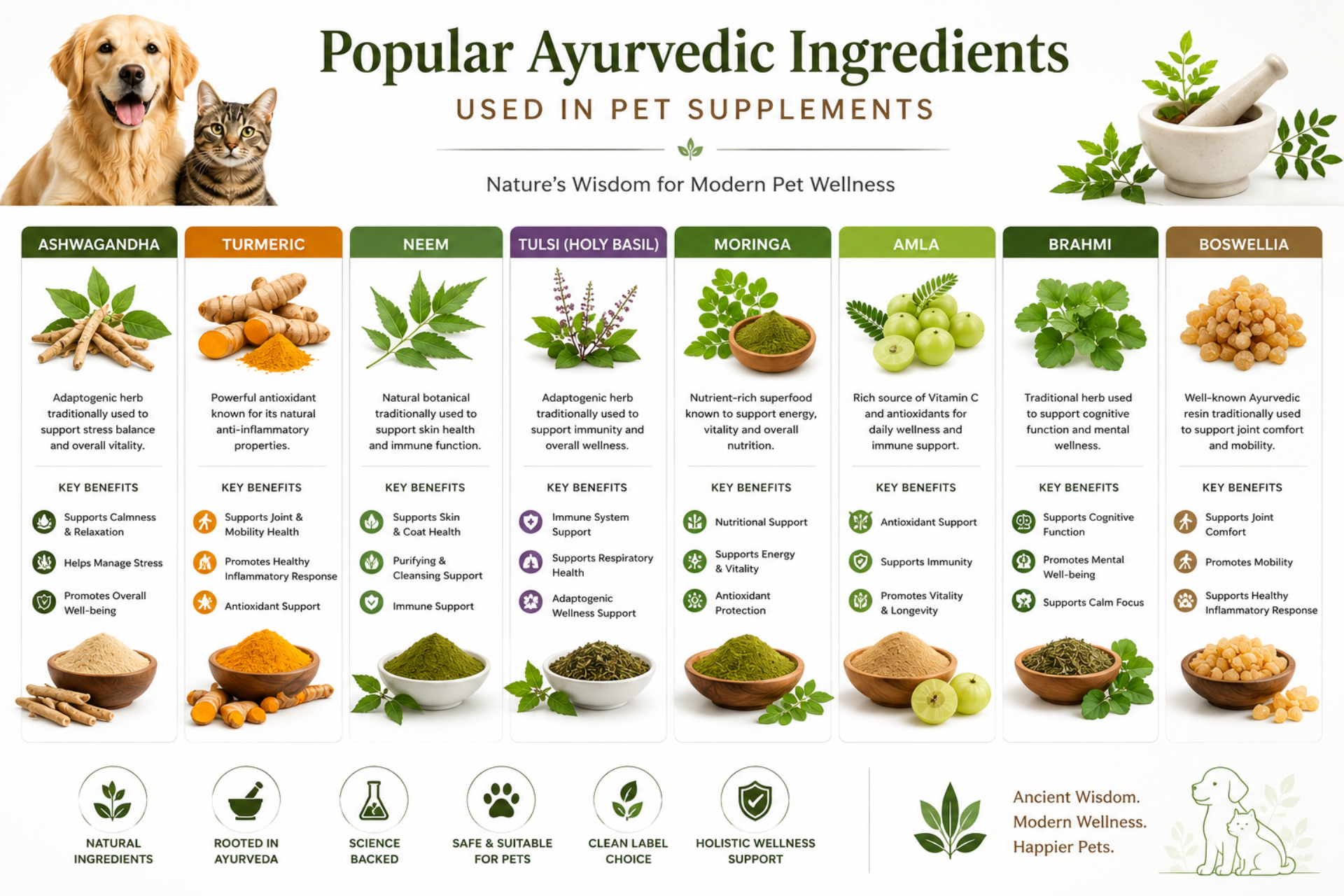 Comparison of major Ayurvedic ingredients used in pet supplement formulations including Ashwagandha, Turmeric, Neem, Tulsi, Moringa, Amla, Brahmi and Boswellia.