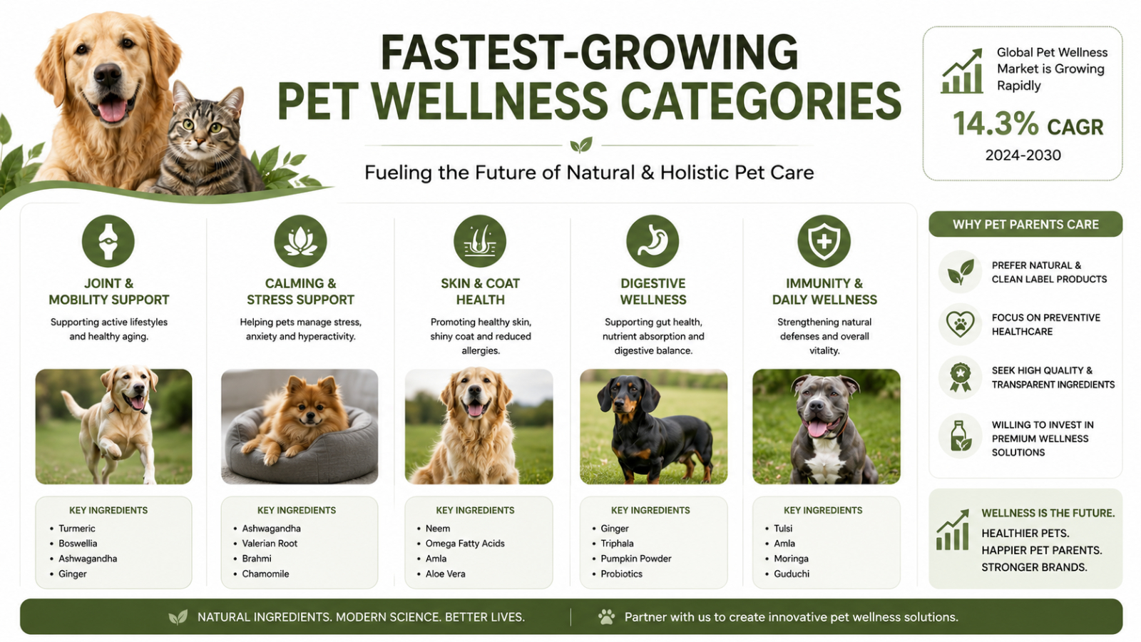 Infographic showing key pet wellness categories including mobility, calming, digestive health, skin and coat care, and immunity support.