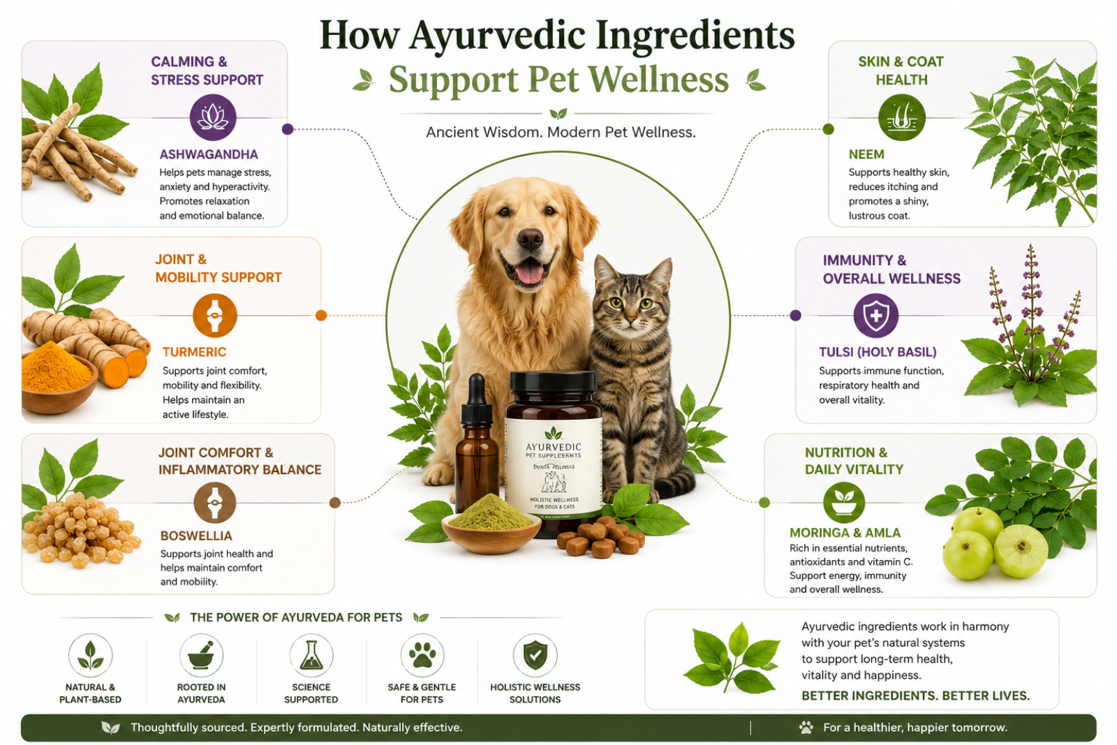 Infographic showing common applications of Ayurvedic ingredients across pet wellness categories.