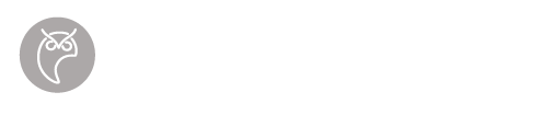 Silv3r Advisors