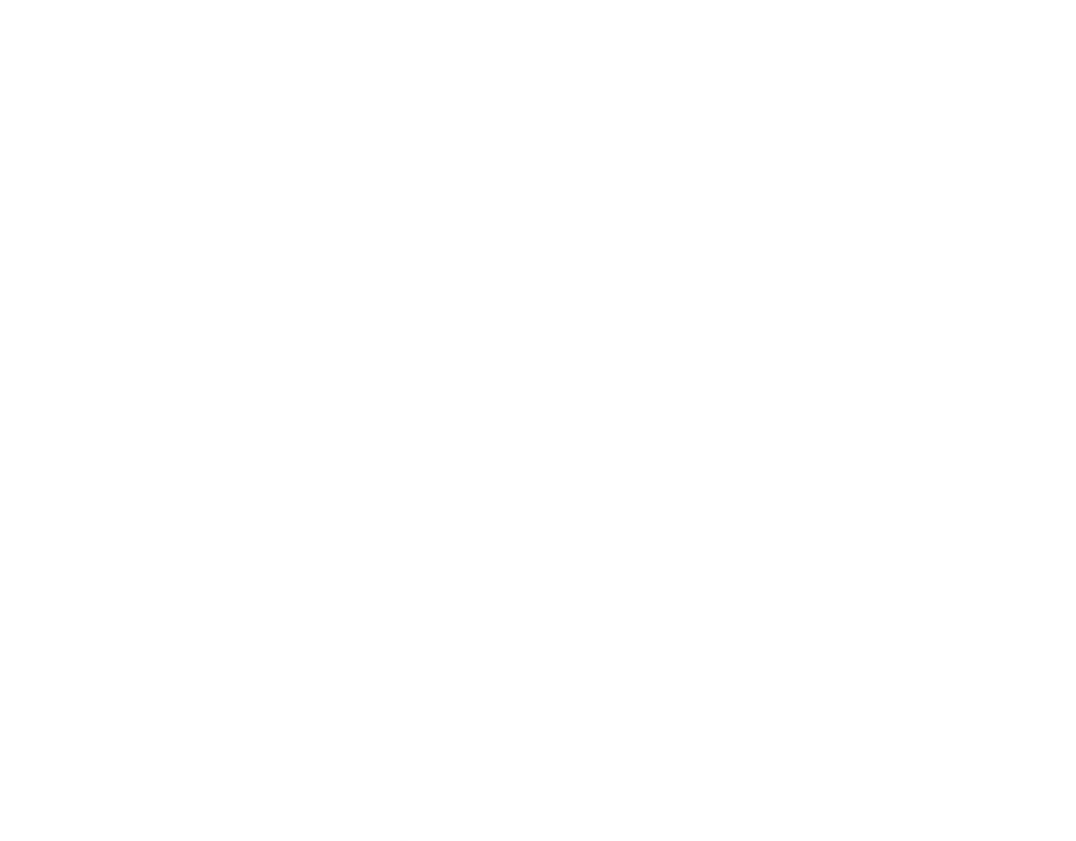 white divider.png