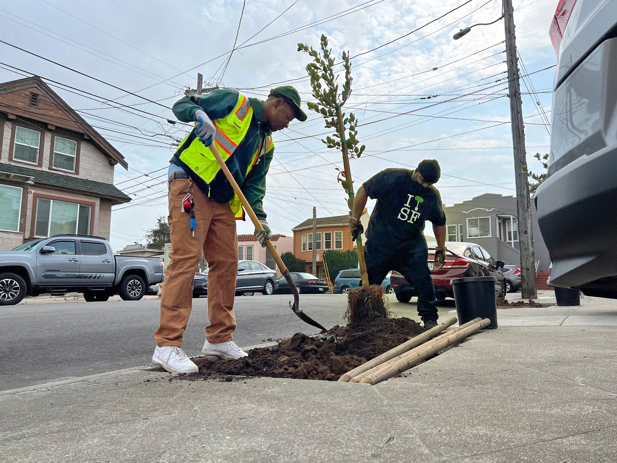 Tree Workforce Development Workforce Development | FriendsOfUrbanForest