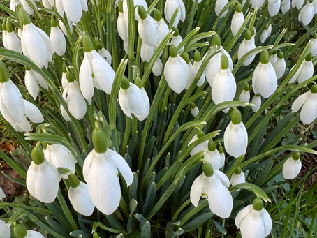 My Year in Yang Sheng