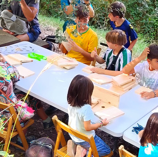 Taller de cajas nido para aves impartido por Milvus Natura