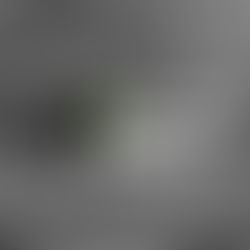 Ecoherencia: más que un concepto, un compromiso real