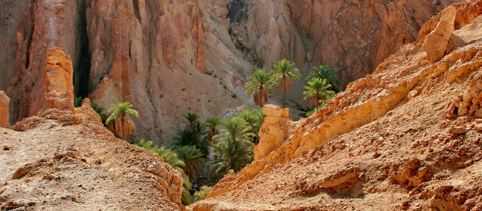 The Path to Becoming More Resilient