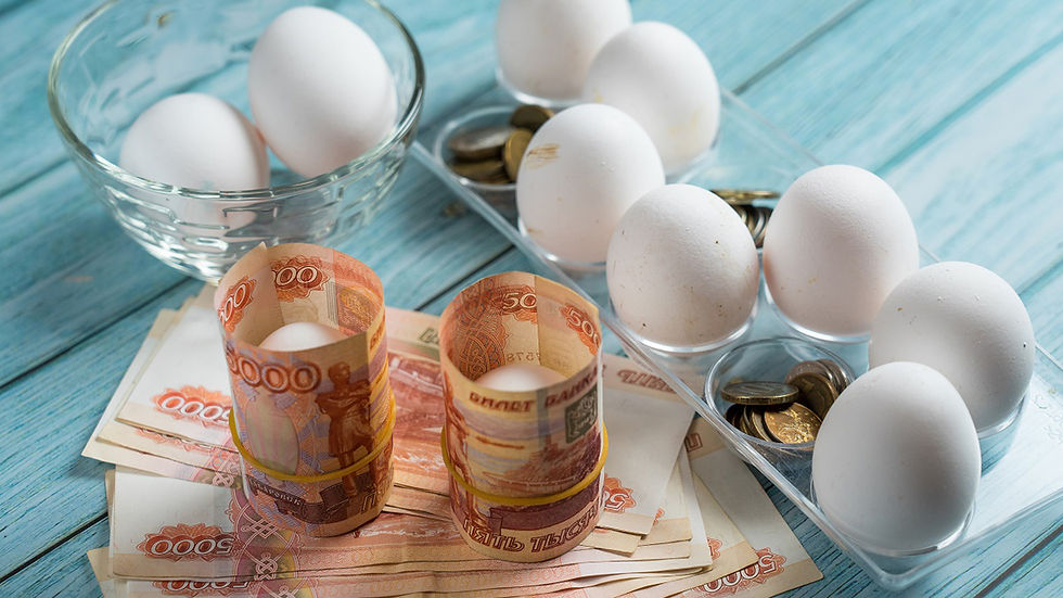 روسيا تعفي البيض من الرسوم الجمركية .. الأسعار ارتفعت 40 %