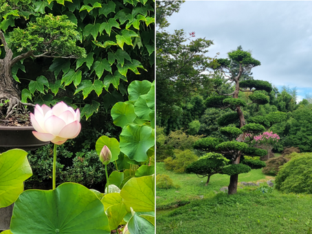 La nature : une force
