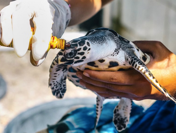 Screen Shot 2025-04-01 at 23.35.14.png