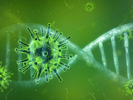 Coronavirus Update Friday 19th June