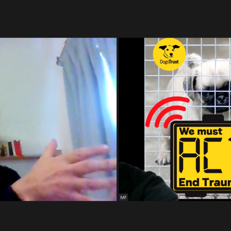 Alex joins puppy smuggling taskforce to tackle 'horrifying trade'