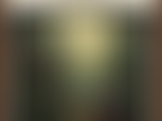 The Ultimate Guide to Kopi Luwak: The most expensive coffee