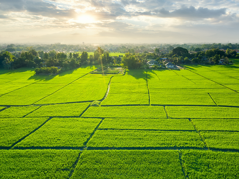 інвестиції у землю