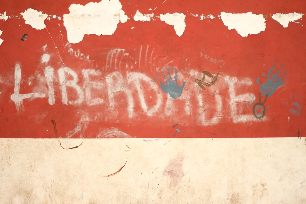 Favela do Salgueiro, 2017