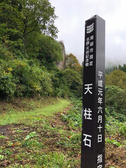 image1c