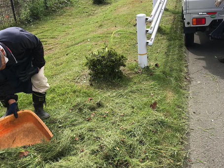 相模川除草作業