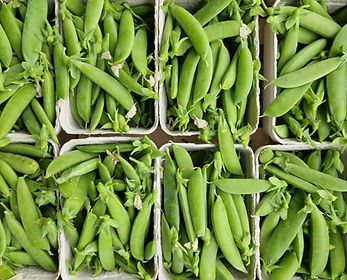 IMG_20230617_084132_930 (002).jpg