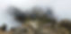 pichincha_landscape_edited.jpg