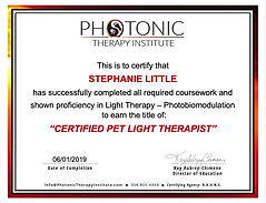 Pet Light Therapist