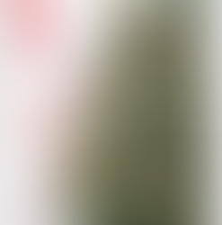 日本の雑誌 RSVP誌 過去の記事掲載のお話