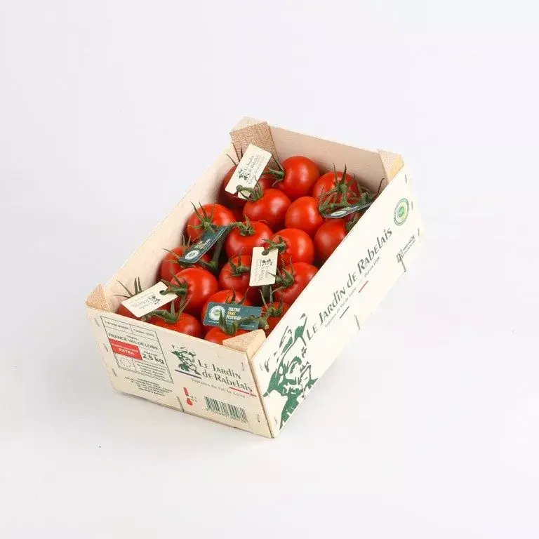 Tomate Grappe Gustative Les Petites Grappes de Rabelais (503)