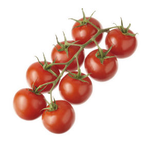 Tomate Grappe Gustative de France (523)
