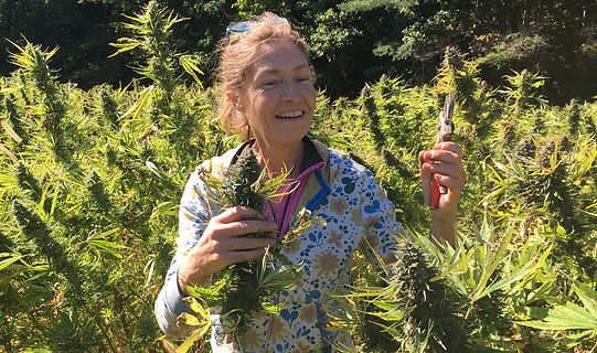 Chas's wife in hemp field_header size2.j